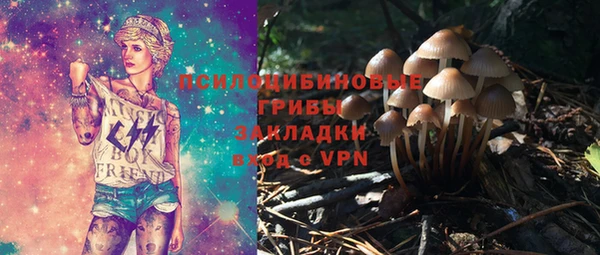 не бодяженный Верхний Тагил