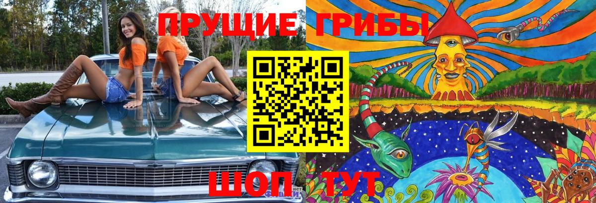 Галлюциногенные грибы GOLDEN TEACHER Назарово