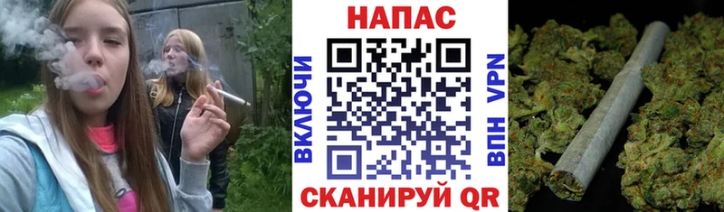 Бошки Шишки Amnesia Назарово